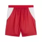 Preview: Schweiz WM Shorts - 2026